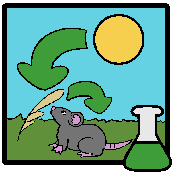 A sun with an arrow to a plant, which has an arrow to a mouse, in a frame with a green beaker in the corner.